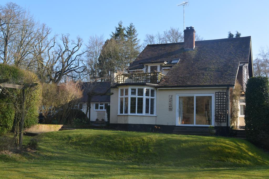 Little Forest Lodge Ringwood Kültér fotó