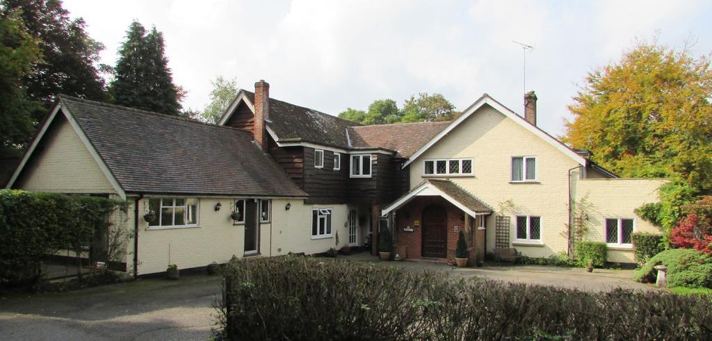 Little Forest Lodge Ringwood Kültér fotó